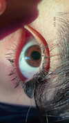 klarissasalazar Altpins Profile Picture