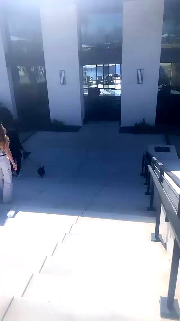 kristenhancher archive video preview