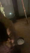 kristenhancher Altpins Profile Picture