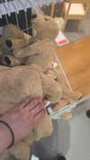dinasaur_0_0_ Altpins Profile Picture