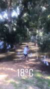 liem_sadan Altpins Profile Picture