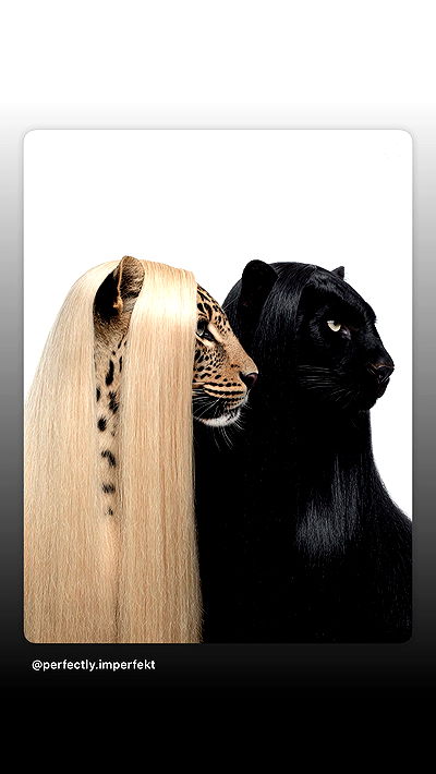 alexandramarianna alexandramarianna archive video