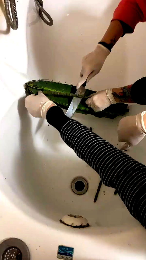 feelbetterinmysweater archive video preview