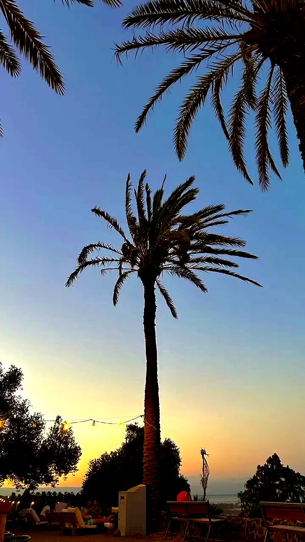 yasmin_kb archive video preview