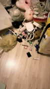 katie_westwood Altpins Profile Picture