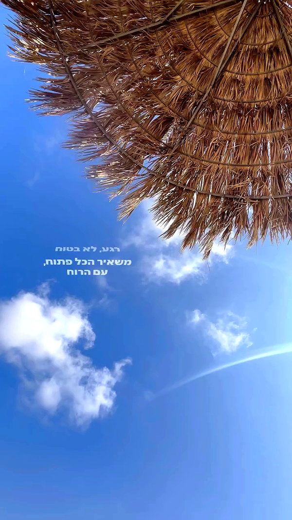 sonia_litvanchuk archive video preview