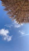 sonia_litvanchuk Altpins Profile Picture