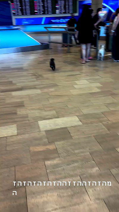 nicole.shpo nicole.shpo archive video