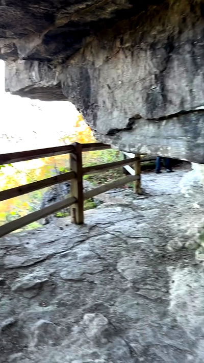 biton__adi biton__adi archive video