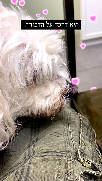 feelbetterinmysweater feelbetterinmysweater archive video