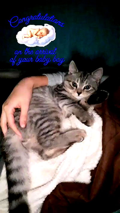 neomiconrad neomiconrad archive video