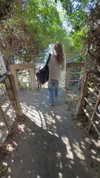 emelye.ender Altpins Profile Picture