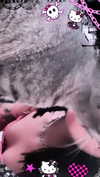 hellokittyangel666 Altpins Profile Picture