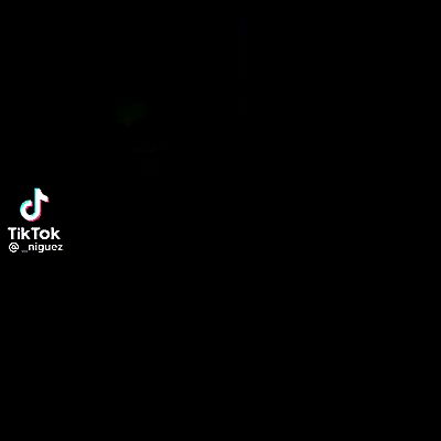 tuliprivet tuliprivet archive video