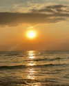 mai_glazer Altpins Profile Picture