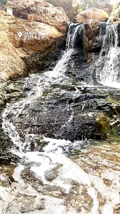 liad.arazi liad.arazi archive video