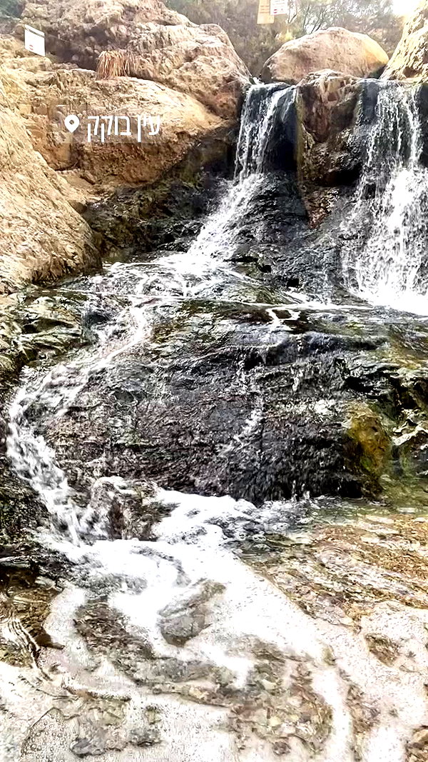 liad.arazi archive video preview