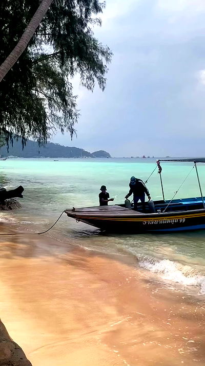 yam_adler yam_adler archive video