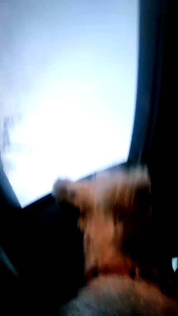 feelbetterinmysweater archive video preview