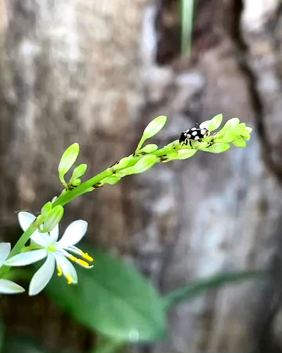 shunli__mei shunli__mei archive video