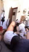liem_sadan Altpins Profile Picture