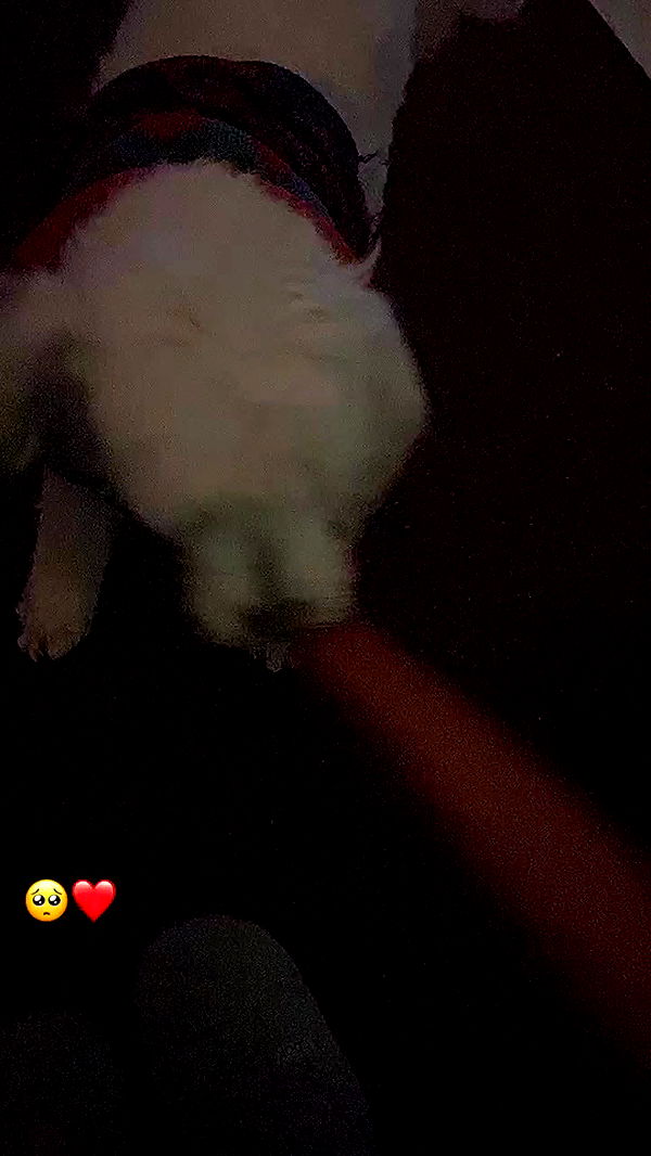 feelbetterinmysweater archive video preview