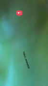oreli_abergal Altpins Profile Picture
