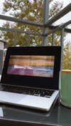 shavgulidzenatt Altpins Profile Picture