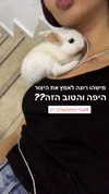 shir.moshe666 Altpins Profile Picture