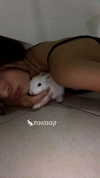 shir.moshe666 Altpins Profile Picture