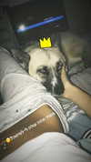 shir.moshe666 Altpins Profile Picture