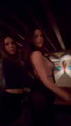 armanitraylor Altpins Profile Picture