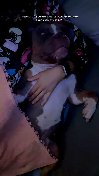 kesemgreenyer kesemgreenyer archive video