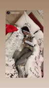 shir.moshe666 Altpins Profile Picture