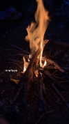 shir.moshe666 Altpins Profile Picture