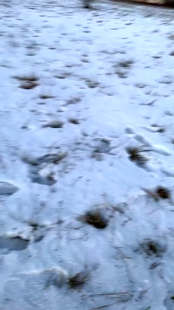 dankathetraveller archive video preview