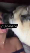 shir.moshe666 Altpins Profile Picture