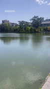 amit.yaron Altpins Profile Picture