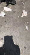 shir.moshe666 Altpins Profile Picture