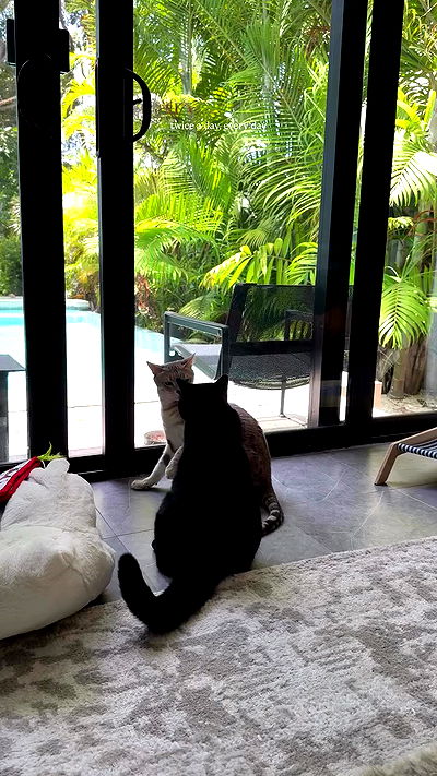 miakhalifa miakhalifa archive video