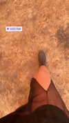 shir.moshe666 Altpins Profile Picture