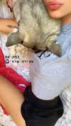 shir.moshe666 Altpins Profile Picture