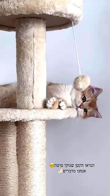 itsilanosh itsilanosh archive video