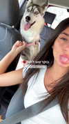 shir.moshe666 Altpins Profile Picture
