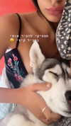 shir.moshe666 Altpins Profile Picture