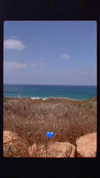 lianaayoun Altpins Profile Picture