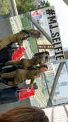 shir.moshe666 Altpins Profile Picture