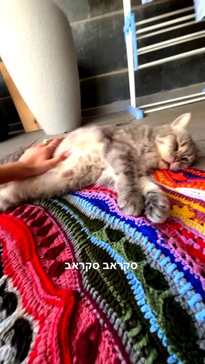 natalllluli natalllluli archive video