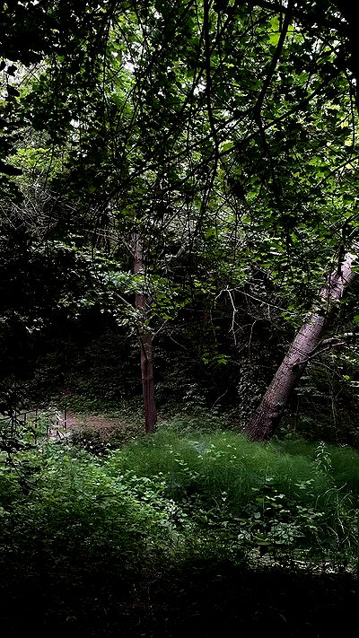 aekamee aekamee archive video