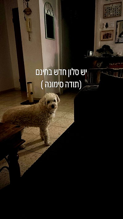 feelbetterinmysweater feelbetterinmysweater archive video